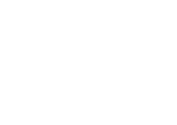 BDO - logo klant - DISC Boulevard