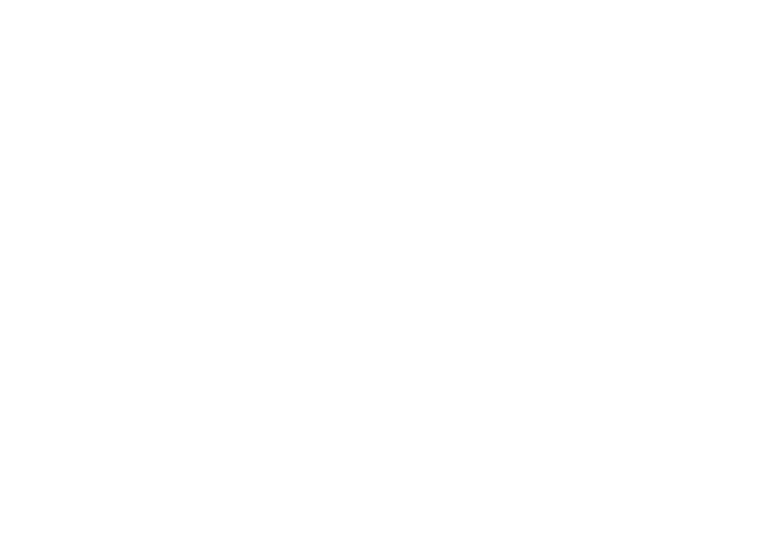 BFG - logo klant - DISC Boulevard
