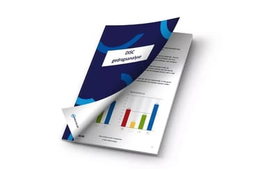 DISC-PROFIEL_GRATIS-UITPROBEREN_HRM-PROFIELEN-2048x1365-1-1024x683.jpg