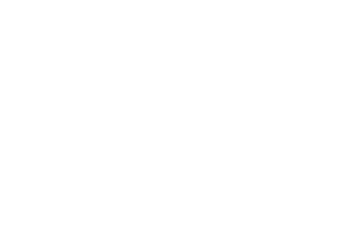 IVC - logo klant - DISC Boulevard