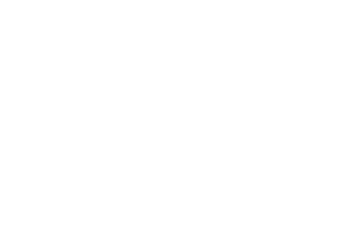 LIDL - logo klant - DISC Boulevard