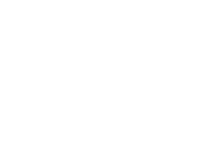 EIFFEL - logo klant - DISC Boulevard