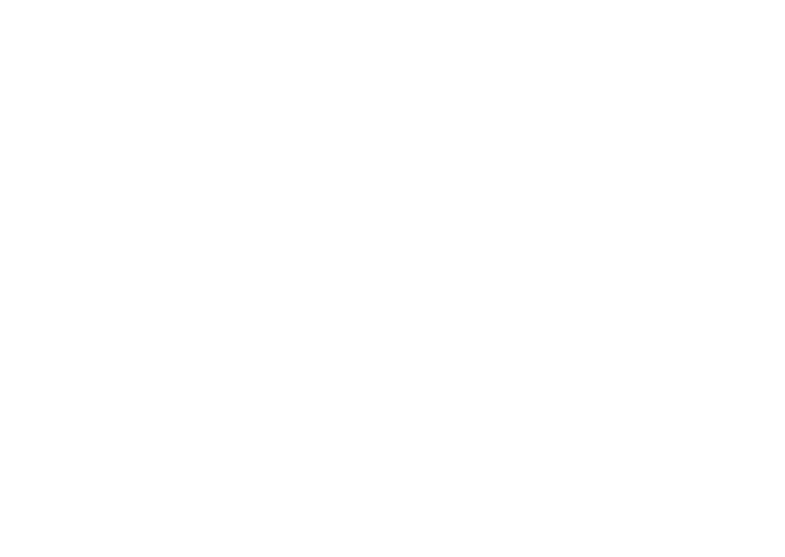 KeesSmit - logo klant - DISC Boulevard